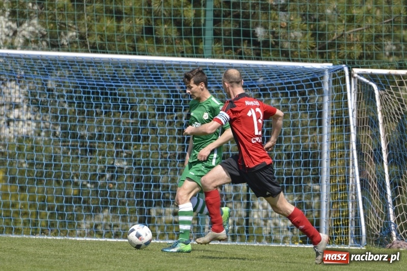 Zdjęcie w galerii na portalu naszraciborz.pl: Klasa okręgowa. Już byli w zagrodzie, witali się z gąską... wiadomości z regionu