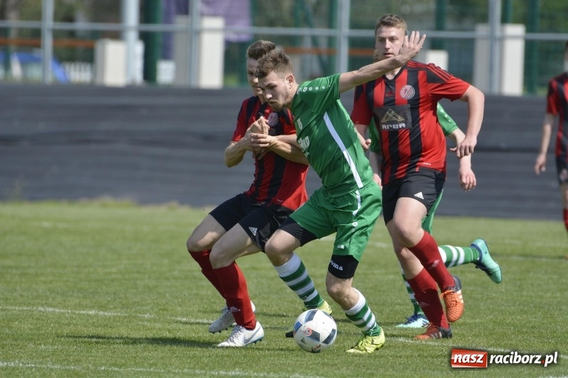 Zdjęcie w galerii na portalu naszraciborz.pl: Klasa okręgowa. Już byli w zagrodzie, witali się z gąską... wiadomości z regionu