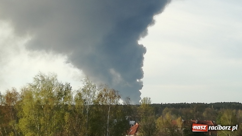 Zdjęcie w galerii na portalu naszraciborz.pl: Słup czarnego dymu nad lasami raciborskimi. Przemieszcza się przez nasz powiat [FOTO i WIDEO] wiadomości z regionu