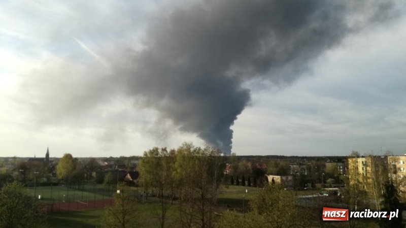 Zdjęcie w galerii na portalu naszraciborz.pl: Słup czarnego dymu nad lasami raciborskimi. Przemieszcza się przez nasz powiat [FOTO i WIDEO] wiadomości z regionu