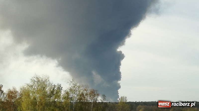 Zdjęcie w galerii na portalu naszraciborz.pl: Słup czarnego dymu nad lasami raciborskimi. Przemieszcza się przez nasz powiat [FOTO i WIDEO] wiadomości z regionu