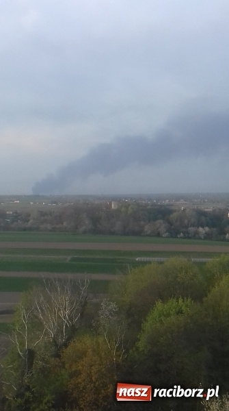 Zdjęcie w galerii na portalu naszraciborz.pl: Słup czarnego dymu nad lasami raciborskimi. Przemieszcza się przez nasz powiat [FOTO i WIDEO] wiadomości z regionu