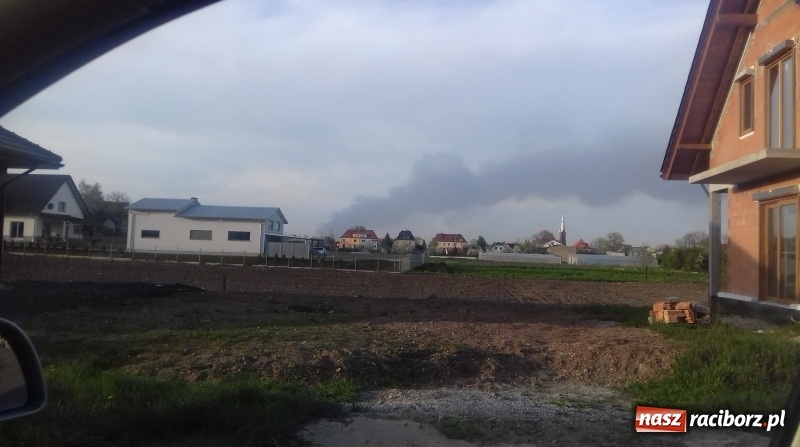 Zdjęcie w galerii na portalu naszraciborz.pl: Słup czarnego dymu nad lasami raciborskimi. Przemieszcza się przez nasz powiat [FOTO i WIDEO] wiadomości z regionu