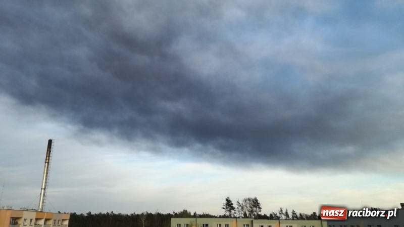 Zdjęcie w galerii na portalu naszraciborz.pl: Słup czarnego dymu nad lasami raciborskimi. Przemieszcza się przez nasz powiat [FOTO i WIDEO] wiadomości z regionu