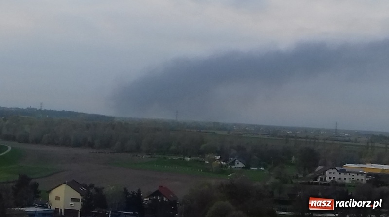 Zdjęcie w galerii na portalu naszraciborz.pl: Słup czarnego dymu nad lasami raciborskimi. Przemieszcza się przez nasz powiat [FOTO i WIDEO] wiadomości z regionu