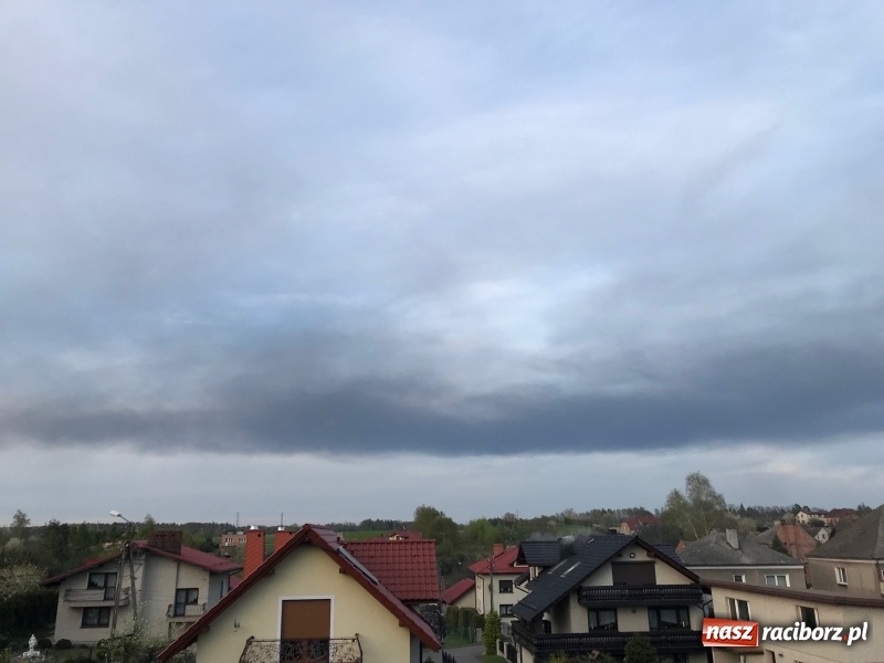 Zdjęcie w galerii na portalu naszraciborz.pl: Słup czarnego dymu nad lasami raciborskimi. Przemieszcza się przez nasz powiat [FOTO i WIDEO] wiadomości z regionu
