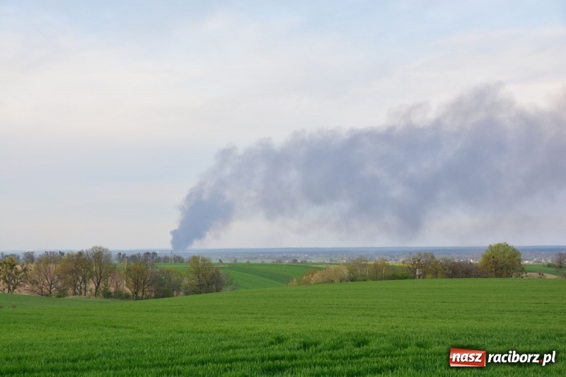 Zdjęcie w galerii na portalu naszraciborz.pl: Słup czarnego dymu nad lasami raciborskimi. Przemieszcza się przez nasz powiat [FOTO i WIDEO] wiadomości z regionu