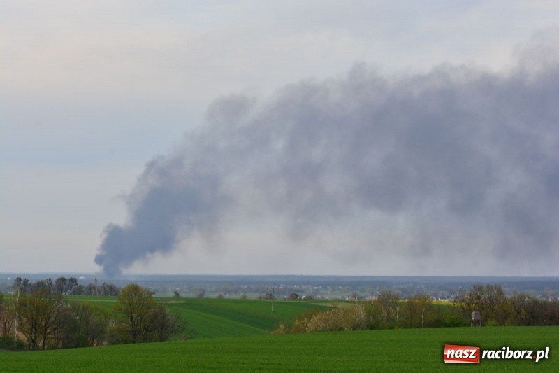 Zdjęcie w galerii na portalu naszraciborz.pl: Słup czarnego dymu nad lasami raciborskimi. Przemieszcza się przez nasz powiat [FOTO i WIDEO] wiadomości z regionu