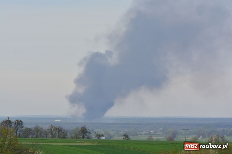 Zdjęcie w galerii na portalu naszraciborz.pl: Słup czarnego dymu nad lasami raciborskimi. Przemieszcza się przez nasz powiat [FOTO i WIDEO] wiadomości z regionu