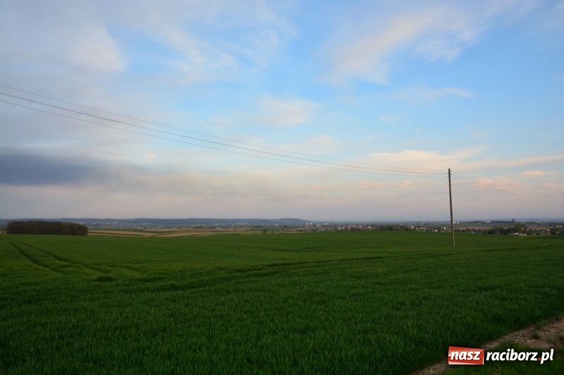 Zdjęcie w galerii na portalu naszraciborz.pl: Słup czarnego dymu nad lasami raciborskimi. Przemieszcza się przez nasz powiat [FOTO i WIDEO] wiadomości z regionu