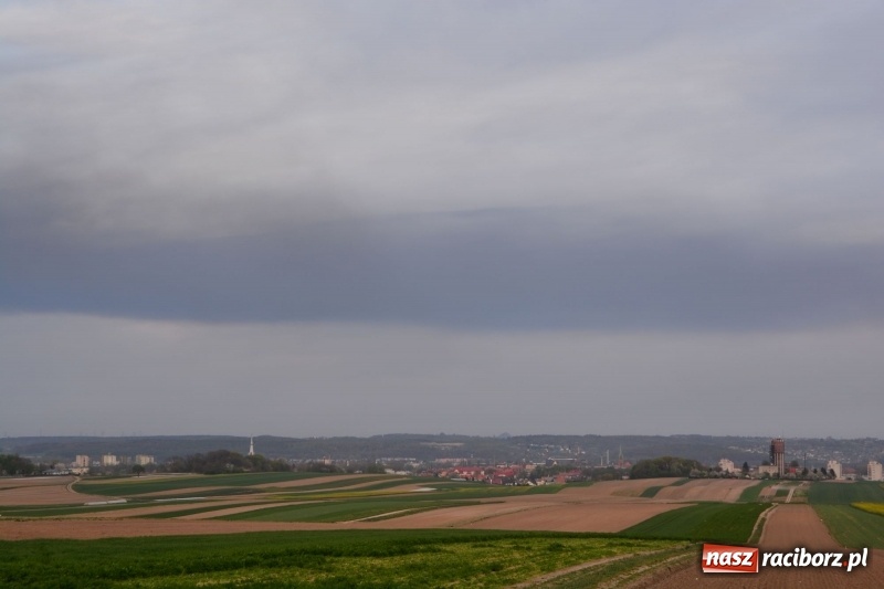 Zdjęcie w galerii na portalu naszraciborz.pl: Słup czarnego dymu nad lasami raciborskimi. Przemieszcza się przez nasz powiat [FOTO i WIDEO] wiadomości z regionu