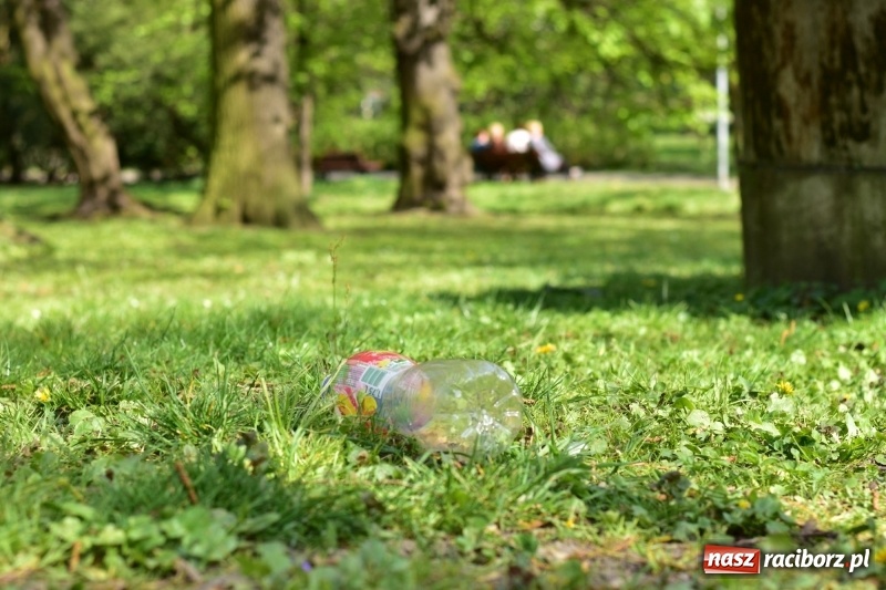 Zdjęcie w galerii na portalu naszraciborz.pl: Fontanny, poidełka, strumyk i kolorowe światła. Park im. Miasta Roth przyszłości  wiadomości z regionu