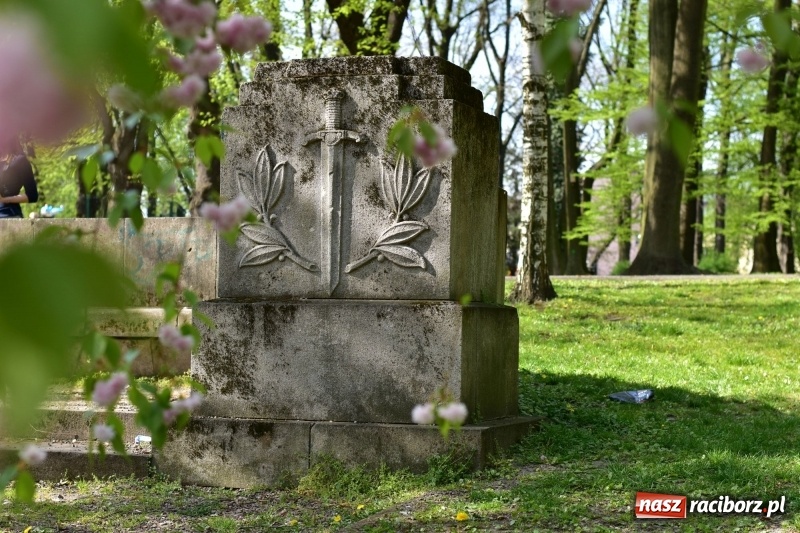Zdjęcie w galerii na portalu naszraciborz.pl: Fontanny, poidełka, strumyk i kolorowe światła. Park im. Miasta Roth przyszłości  wiadomości z regionu