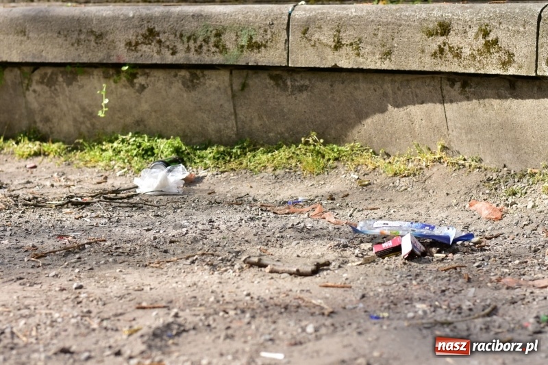 Zdjęcie w galerii na portalu naszraciborz.pl: Fontanny, poidełka, strumyk i kolorowe światła. Park im. Miasta Roth przyszłości  wiadomości z regionu
