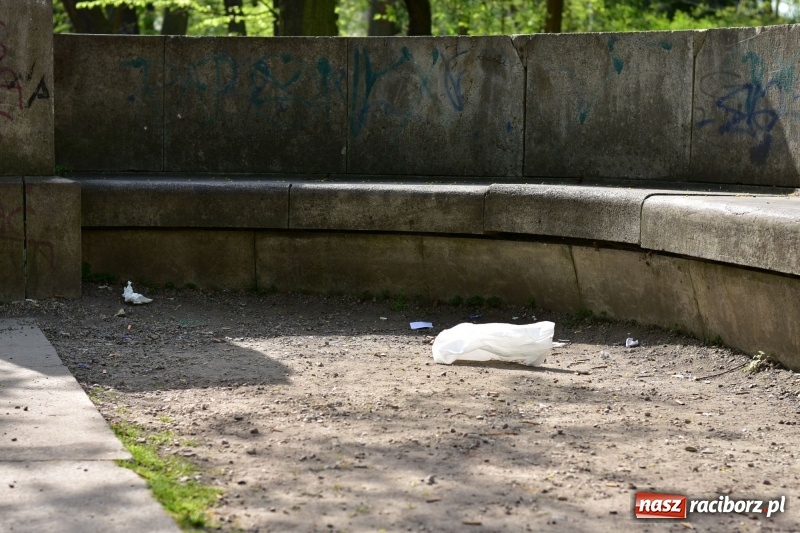 Zdjęcie w galerii na portalu naszraciborz.pl: Fontanny, poidełka, strumyk i kolorowe światła. Park im. Miasta Roth przyszłości  wiadomości z regionu