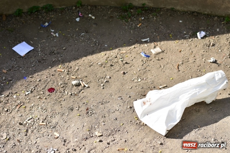 Zdjęcie w galerii na portalu naszraciborz.pl: Fontanny, poidełka, strumyk i kolorowe światła. Park im. Miasta Roth przyszłości  wiadomości z regionu