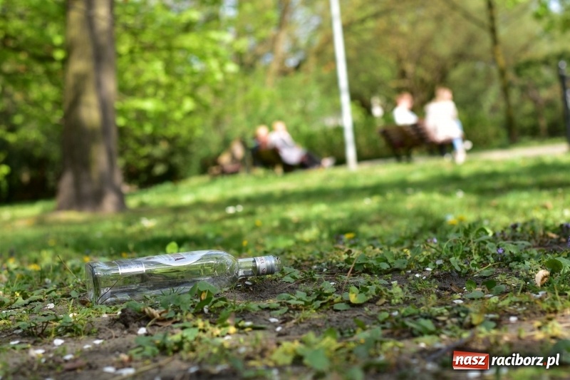 Zdjęcie w galerii na portalu naszraciborz.pl: Fontanny, poidełka, strumyk i kolorowe światła. Park im. Miasta Roth przyszłości  wiadomości z regionu