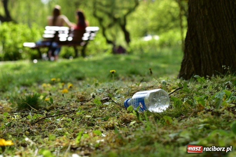 Zdjęcie w galerii na portalu naszraciborz.pl: Fontanny, poidełka, strumyk i kolorowe światła. Park im. Miasta Roth przyszłości  wiadomości z regionu
