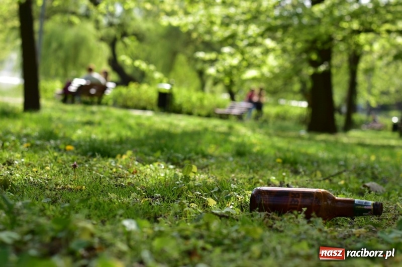 Zdjęcie w galerii na portalu naszraciborz.pl: Fontanny, poidełka, strumyk i kolorowe światła. Park im. Miasta Roth przyszłości  wiadomości z regionu