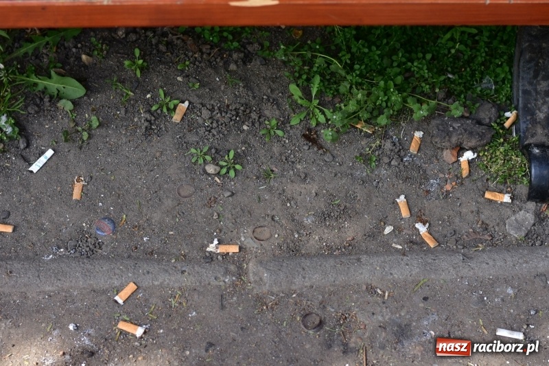 Zdjęcie w galerii na portalu naszraciborz.pl: Fontanny, poidełka, strumyk i kolorowe światła. Park im. Miasta Roth przyszłości  wiadomości z regionu