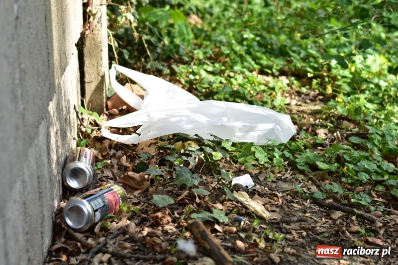 Zdjęcie w galerii na portalu naszraciborz.pl: Fontanny, poidełka, strumyk i kolorowe światła. Park im. Miasta Roth przyszłości  wiadomości z regionu