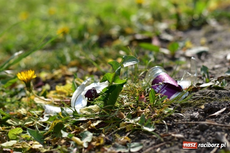 Zdjęcie w galerii na portalu naszraciborz.pl: Fontanny, poidełka, strumyk i kolorowe światła. Park im. Miasta Roth przyszłości  wiadomości z regionu