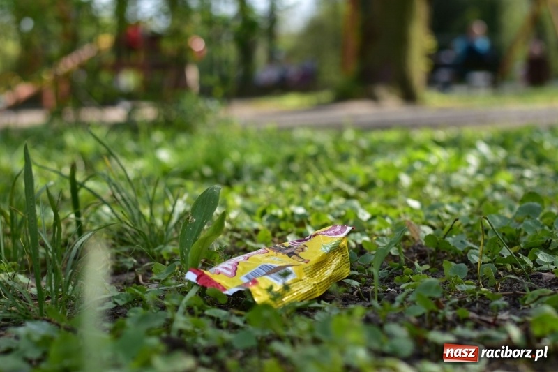 Zdjęcie w galerii na portalu naszraciborz.pl: Fontanny, poidełka, strumyk i kolorowe światła. Park im. Miasta Roth przyszłości  wiadomości z regionu