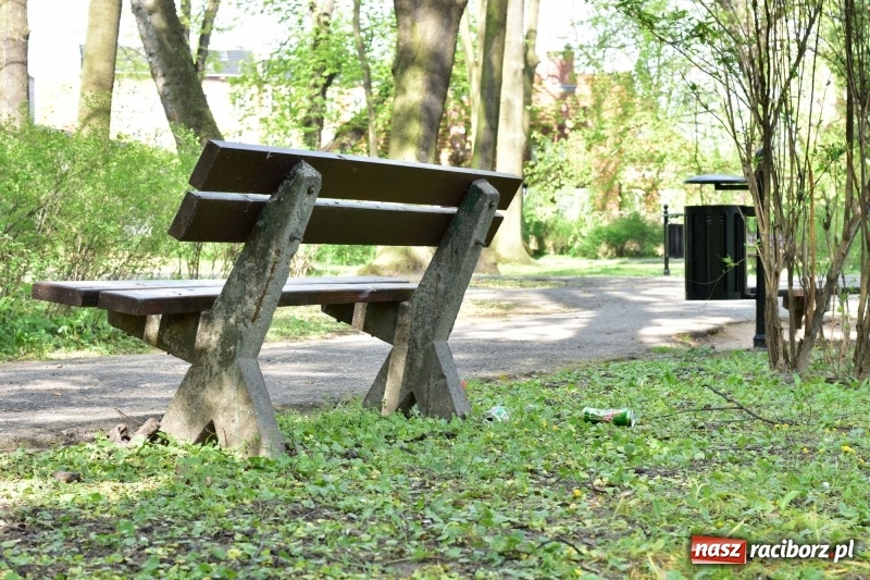 Zdjęcie w galerii na portalu naszraciborz.pl: Fontanny, poidełka, strumyk i kolorowe światła. Park im. Miasta Roth przyszłości  wiadomości z regionu