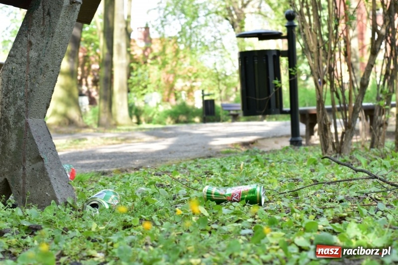Zdjęcie w galerii na portalu naszraciborz.pl: Fontanny, poidełka, strumyk i kolorowe światła. Park im. Miasta Roth przyszłości  wiadomości z regionu