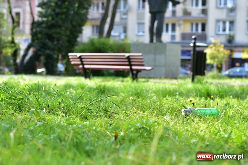 Zdjęcie w galerii na portalu naszraciborz.pl: Fontanny, poidełka, strumyk i kolorowe światła. Park im. Miasta Roth przyszłości  wiadomości z regionu