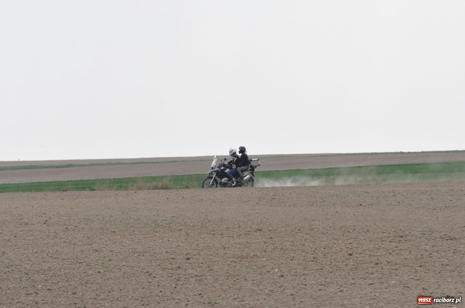 Zdjęcie w galerii na portalu naszraciborz.pl: Rekordowa liczba koni w Bieńkowicach [FOTO i WIDEO] wiadomości z regionu