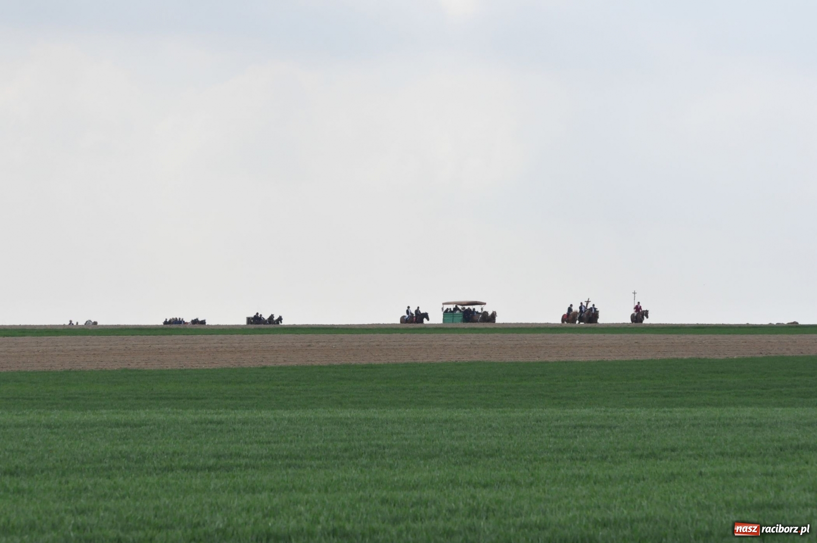 Zdjęcie w galerii na portalu naszraciborz.pl: Rekordowa liczba koni w Bieńkowicach [FOTO i WIDEO] wiadomości z regionu