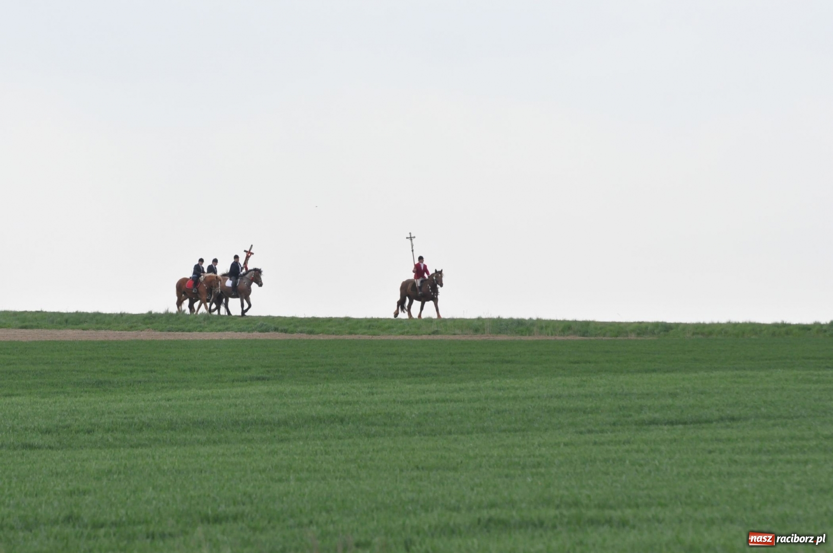 Zdjęcie w galerii na portalu naszraciborz.pl: Rekordowa liczba koni w Bieńkowicach [FOTO i WIDEO] wiadomości z regionu