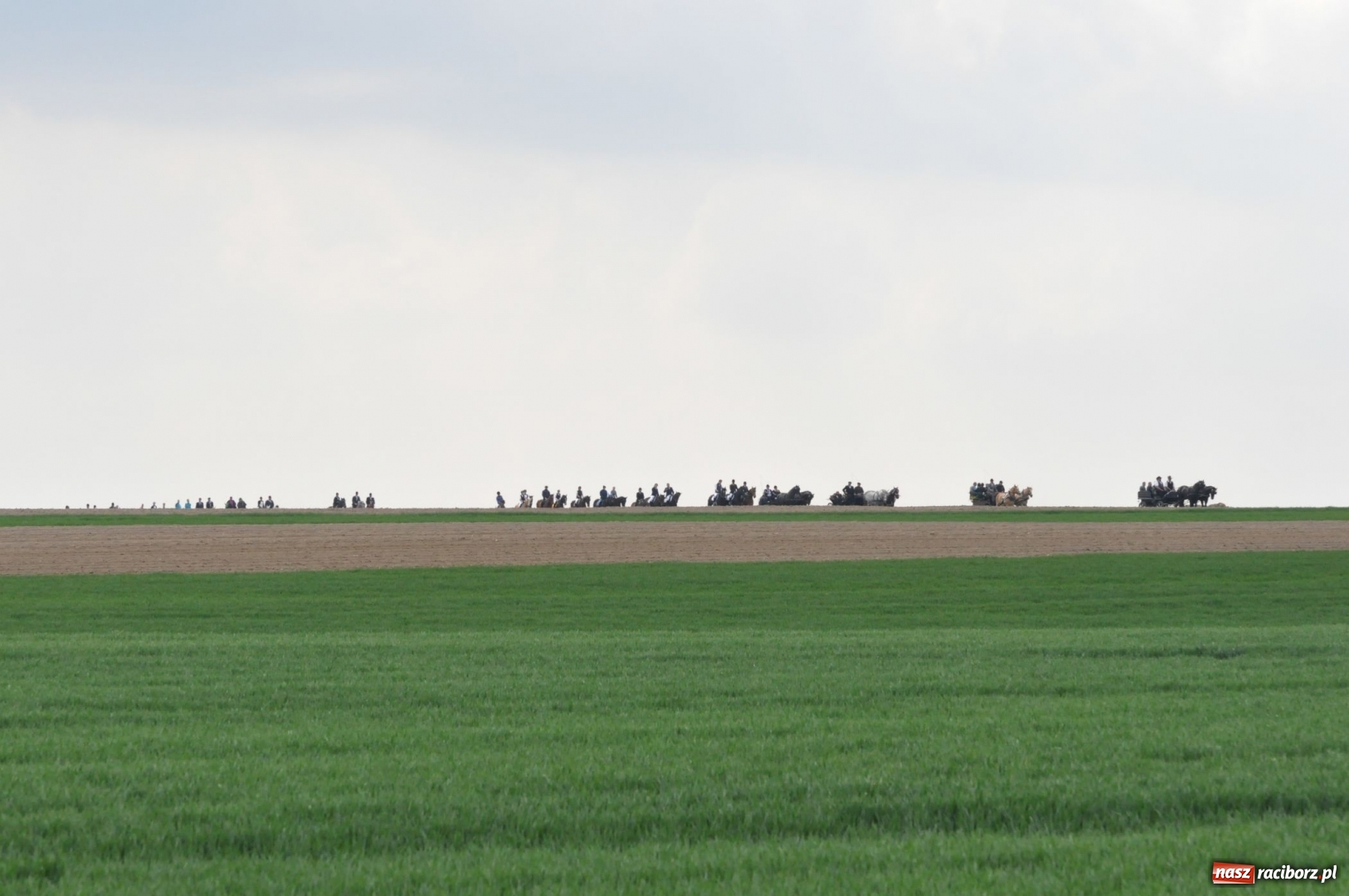 Zdjęcie w galerii na portalu naszraciborz.pl: Rekordowa liczba koni w Bieńkowicach [FOTO i WIDEO] wiadomości z regionu