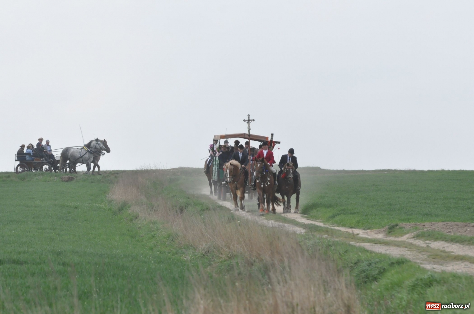 Zdjęcie w galerii na portalu naszraciborz.pl: Rekordowa liczba koni w Bieńkowicach [FOTO i WIDEO] wiadomości z regionu