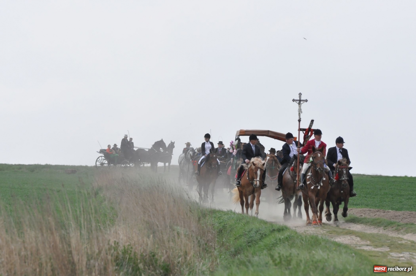 Zdjęcie w galerii na portalu naszraciborz.pl: Rekordowa liczba koni w Bieńkowicach [FOTO i WIDEO] wiadomości z regionu