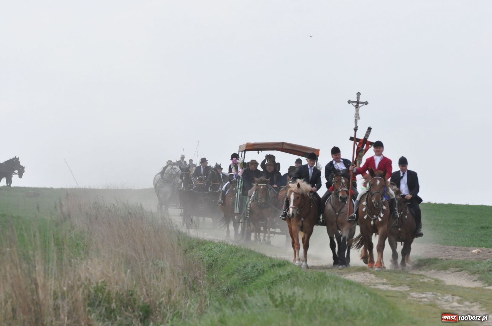 Zdjęcie w galerii na portalu naszraciborz.pl: Rekordowa liczba koni w Bieńkowicach [FOTO i WIDEO] wiadomości z regionu