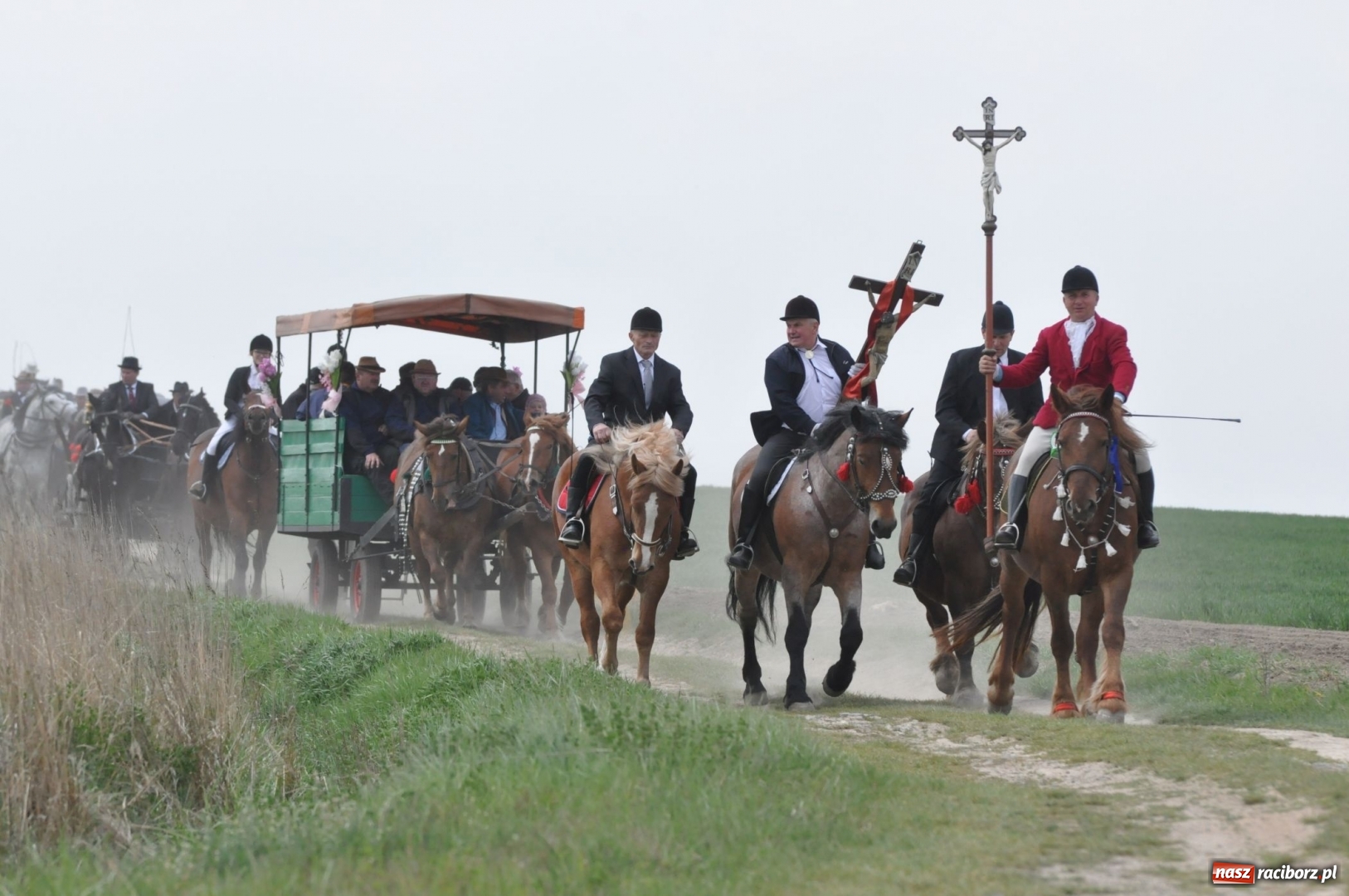 Zdjęcie w galerii na portalu naszraciborz.pl: Rekordowa liczba koni w Bieńkowicach [FOTO i WIDEO] wiadomości z regionu