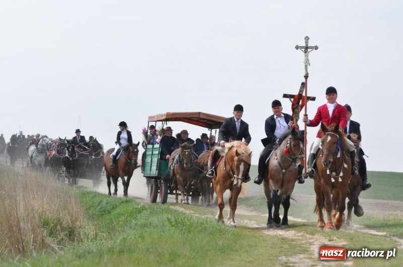 Zdjęcie w galerii na portalu naszraciborz.pl: Rekordowa liczba koni w Bieńkowicach [FOTO i WIDEO] wiadomości z regionu