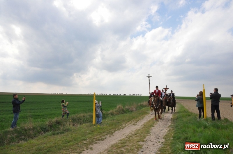 Zdjęcie w galerii na portalu naszraciborz.pl: Rekordowa liczba koni w Bieńkowicach [FOTO i WIDEO] wiadomości z regionu