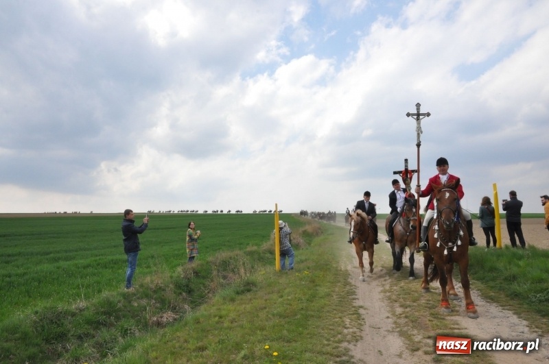 Zdjęcie w galerii na portalu naszraciborz.pl: Rekordowa liczba koni w Bieńkowicach [FOTO i WIDEO] wiadomości z regionu