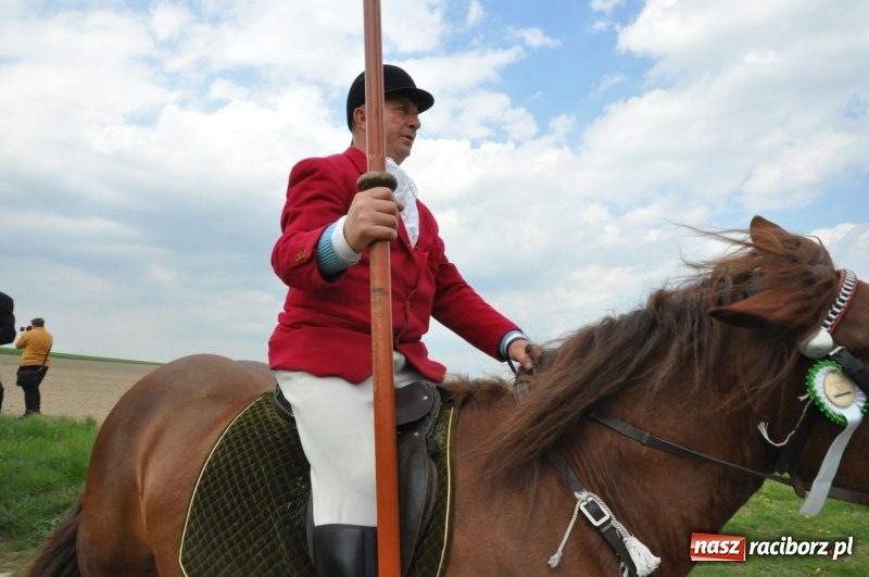 Zdjęcie w galerii na portalu naszraciborz.pl: Rekordowa liczba koni w Bieńkowicach [FOTO i WIDEO] wiadomości z regionu