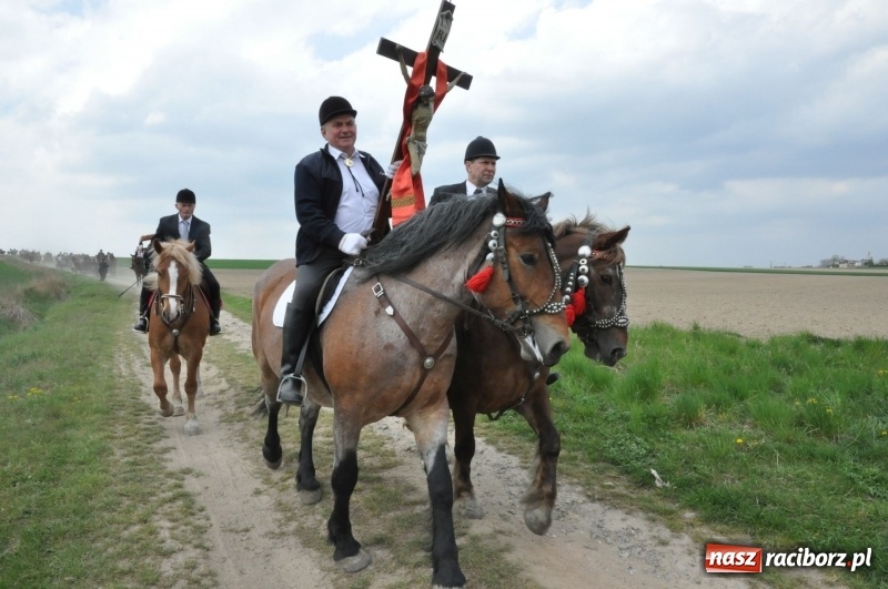 Zdjęcie w galerii na portalu naszraciborz.pl: Rekordowa liczba koni w Bieńkowicach [FOTO i WIDEO] wiadomości z regionu
