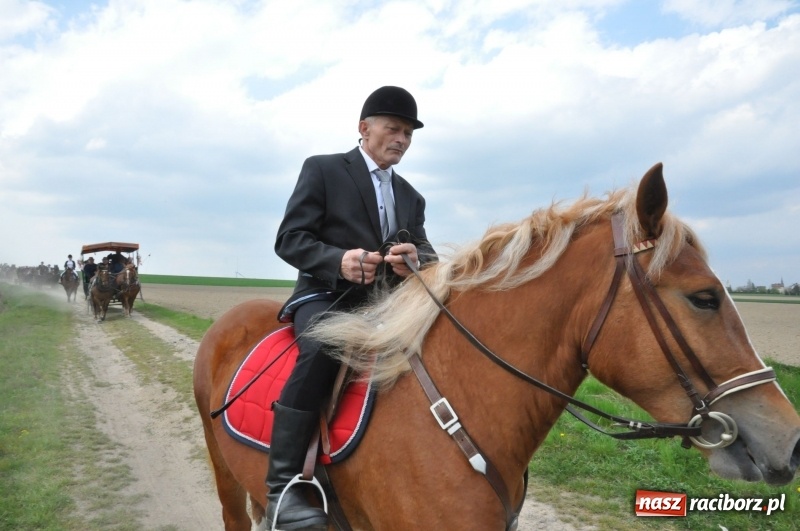 Zdjęcie w galerii na portalu naszraciborz.pl: Rekordowa liczba koni w Bieńkowicach [FOTO i WIDEO] wiadomości z regionu