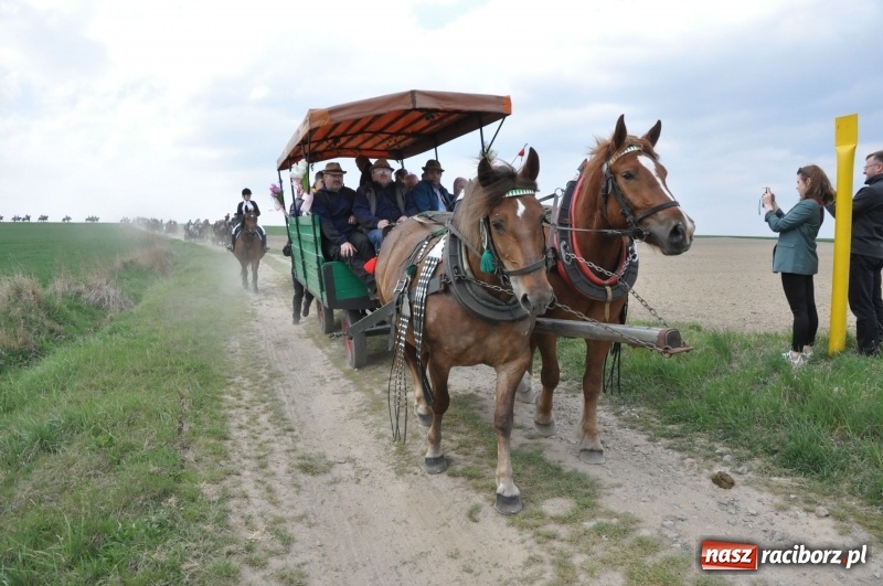 Zdjęcie w galerii na portalu naszraciborz.pl: Rekordowa liczba koni w Bieńkowicach [FOTO i WIDEO] wiadomości z regionu
