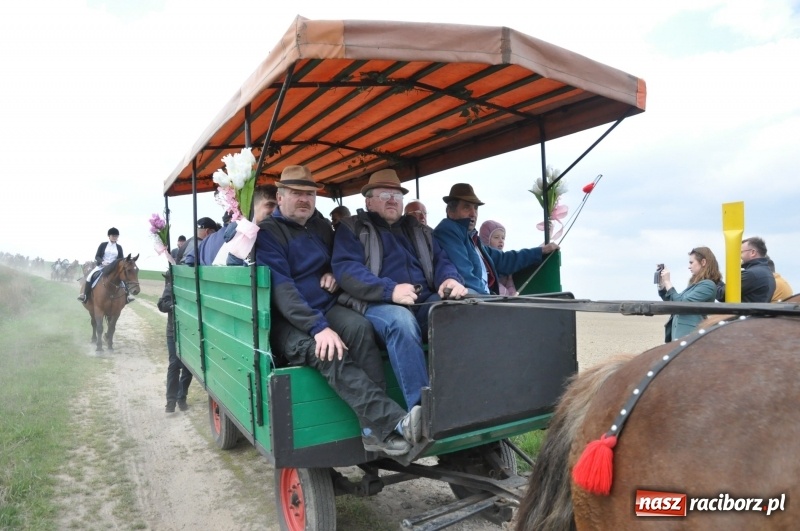 Zdjęcie w galerii na portalu naszraciborz.pl: Rekordowa liczba koni w Bieńkowicach [FOTO i WIDEO] wiadomości z regionu