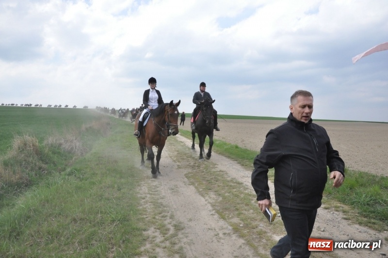Zdjęcie w galerii na portalu naszraciborz.pl: Rekordowa liczba koni w Bieńkowicach [FOTO i WIDEO] wiadomości z regionu