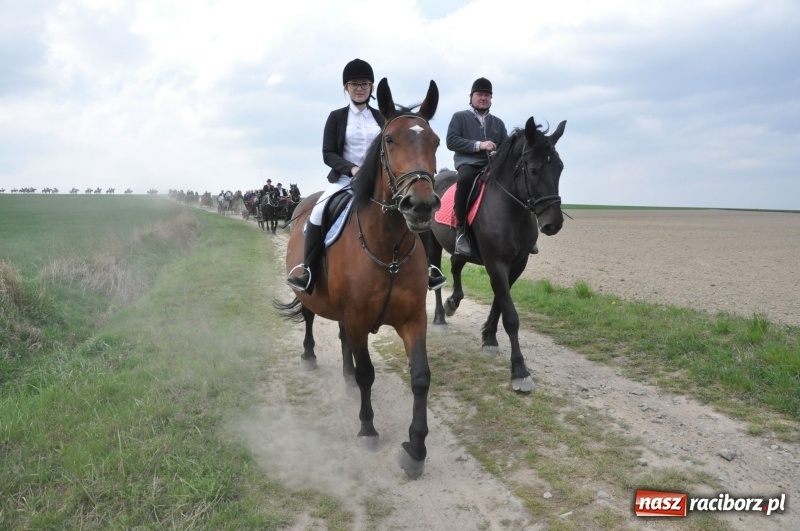 Zdjęcie w galerii na portalu naszraciborz.pl: Rekordowa liczba koni w Bieńkowicach [FOTO i WIDEO] wiadomości z regionu