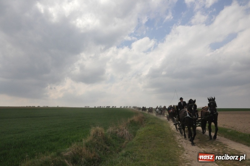 Zdjęcie w galerii na portalu naszraciborz.pl: Rekordowa liczba koni w Bieńkowicach [FOTO i WIDEO] wiadomości z regionu