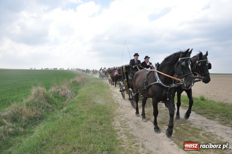 Zdjęcie w galerii na portalu naszraciborz.pl: Rekordowa liczba koni w Bieńkowicach [FOTO i WIDEO] wiadomości z regionu
